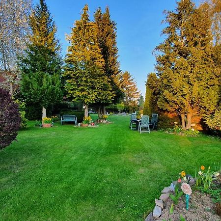 Finnhaus Neubauer Elbingerode  Luaran gambar