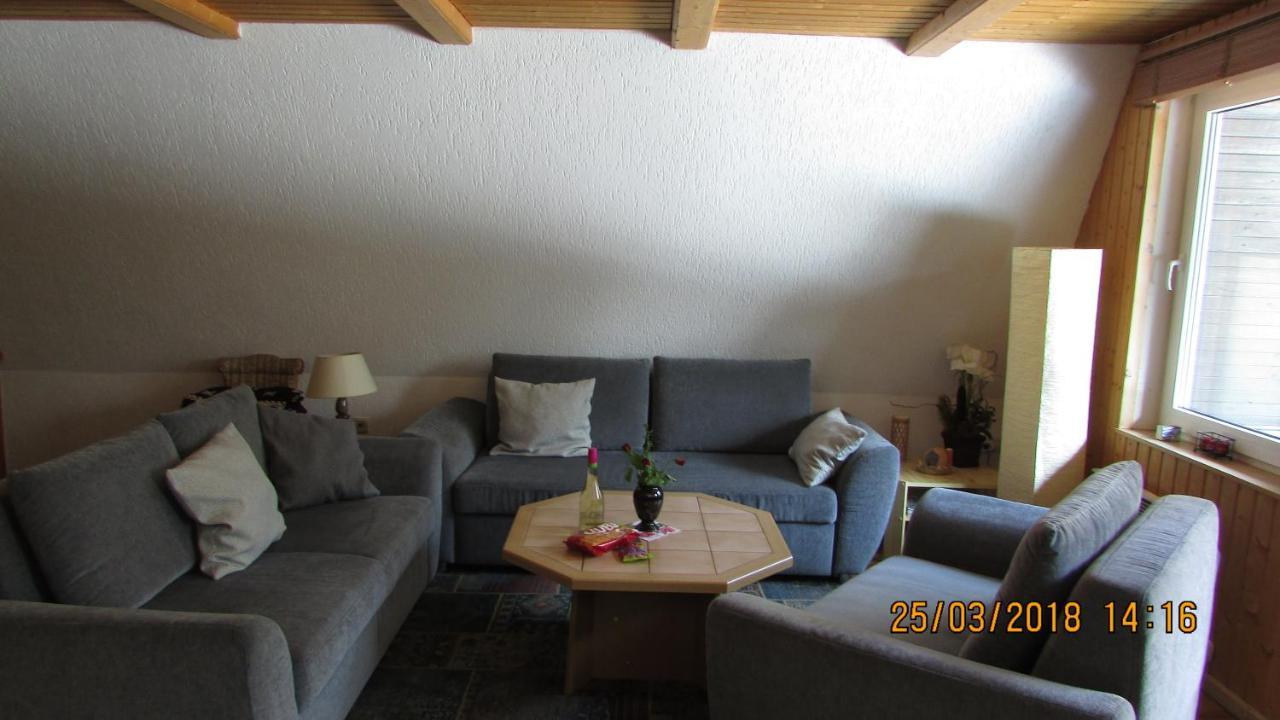Finnhaus Neubauer Elbingerode  Luaran gambar