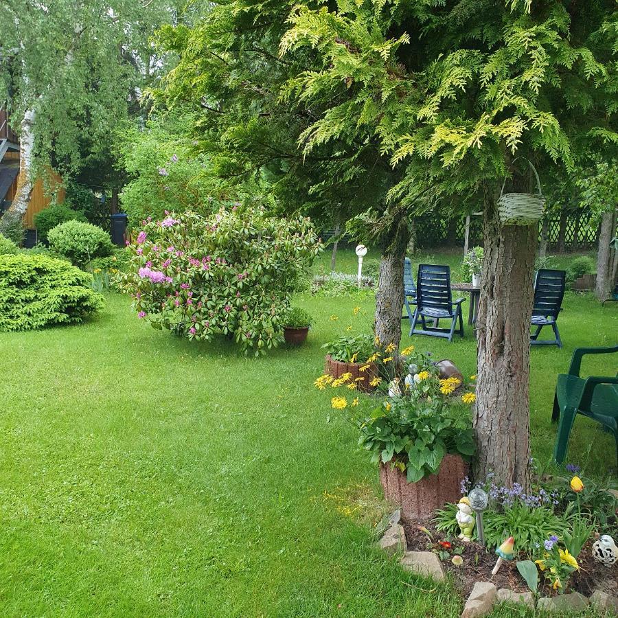 Finnhaus Neubauer Elbingerode  Luaran gambar