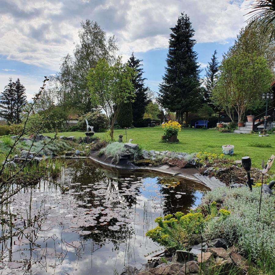 Finnhaus Neubauer Elbingerode  Luaran gambar