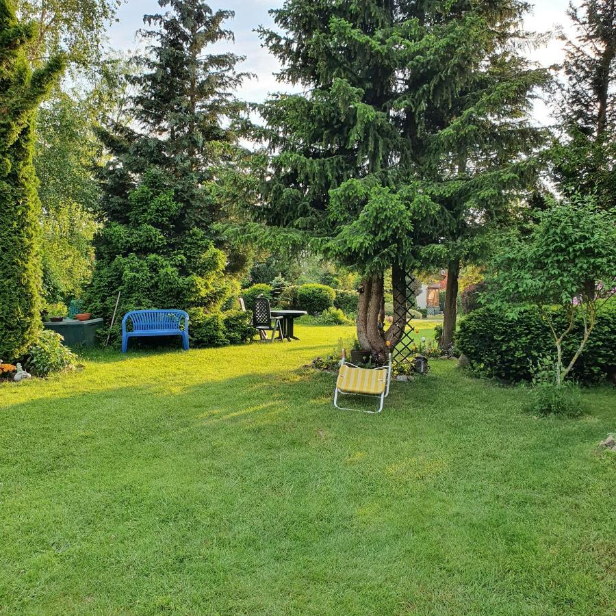 Finnhaus Neubauer Elbingerode  Luaran gambar