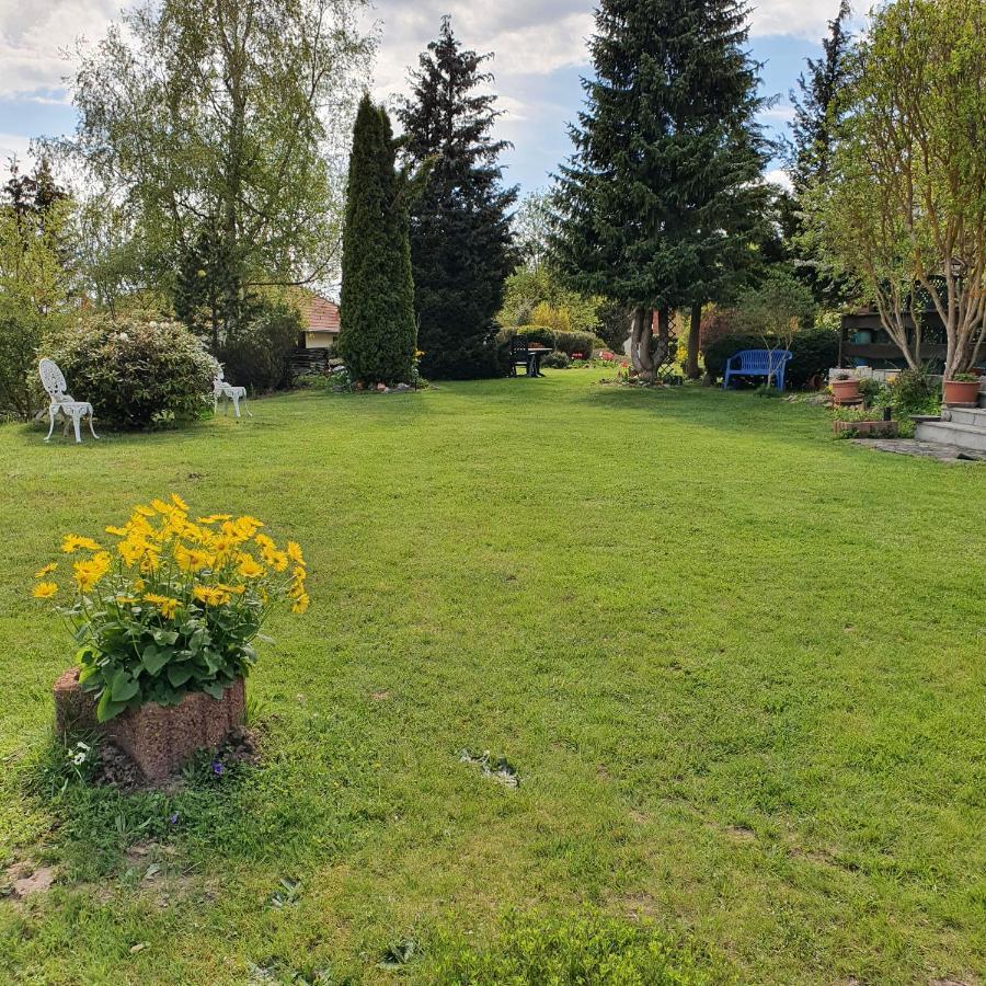 Finnhaus Neubauer Elbingerode  Luaran gambar