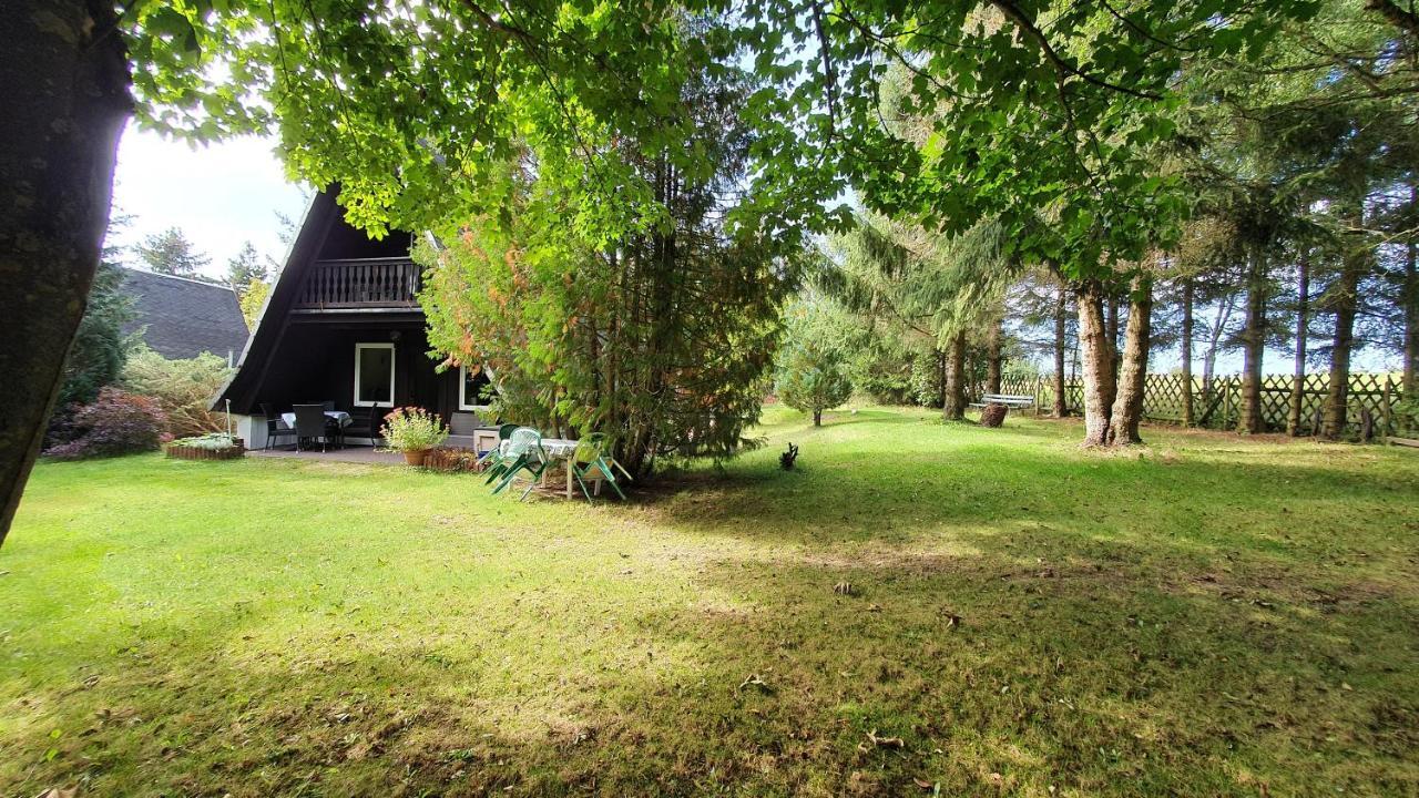 Finnhaus Neubauer Elbingerode  Luaran gambar